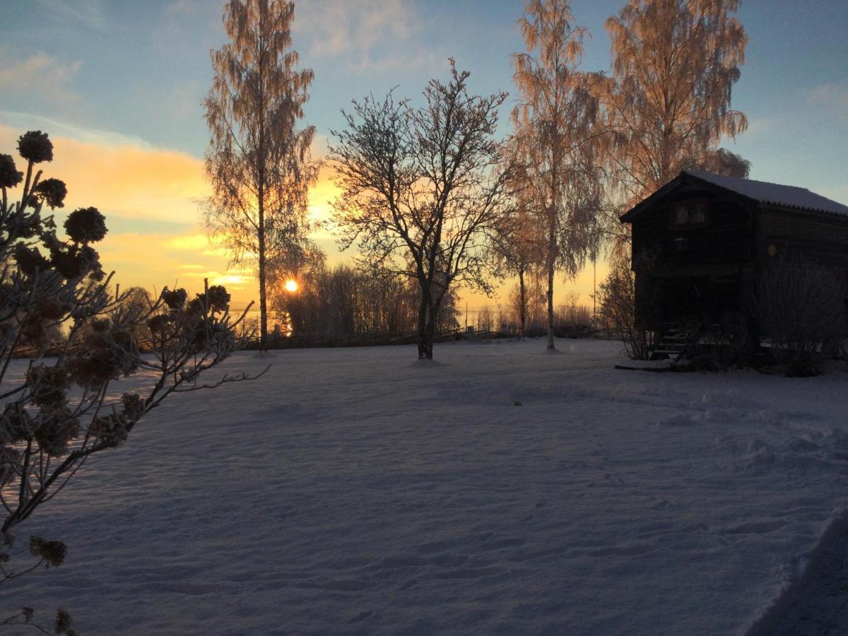 Mysigt Boende I Raettvik Med Utsikt Oever Siljan Eksteriør billede