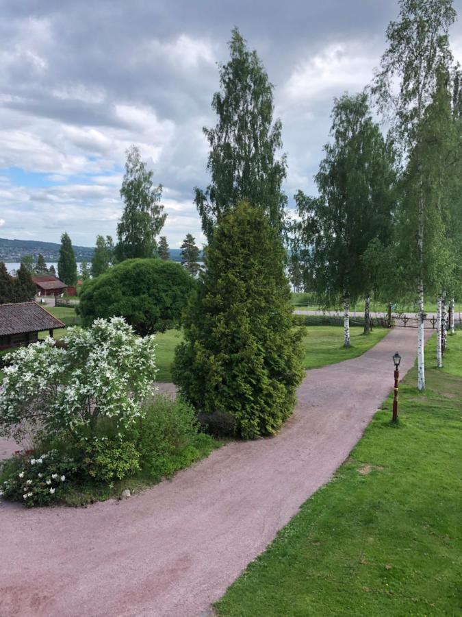 Mysigt Boende I Raettvik Med Utsikt Oever Siljan Eksteriør billede