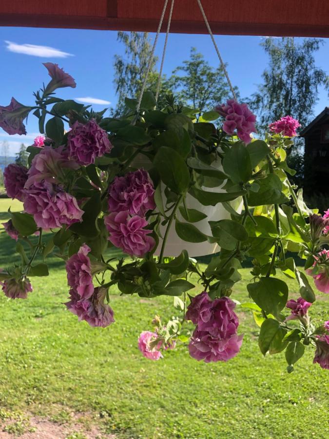 Mysigt Boende I Raettvik Med Utsikt Oever Siljan Eksteriør billede